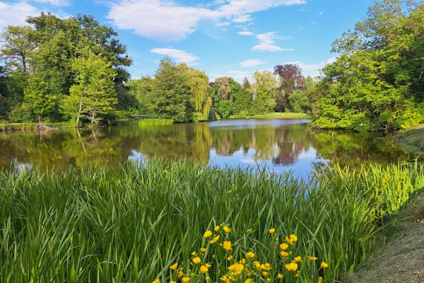 Pohled na vodní plochu v Lednicko-valtickém areálu.