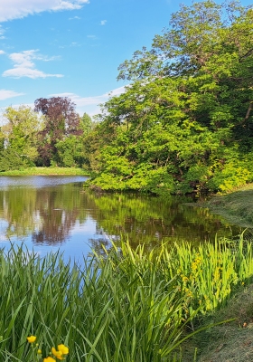 Pohled na vodní plochu v Lednicko-valtickém areálu.