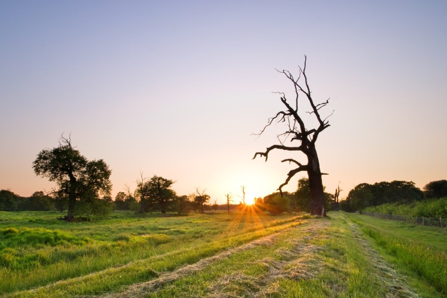 Oblast soutoku Moravy a Dyje