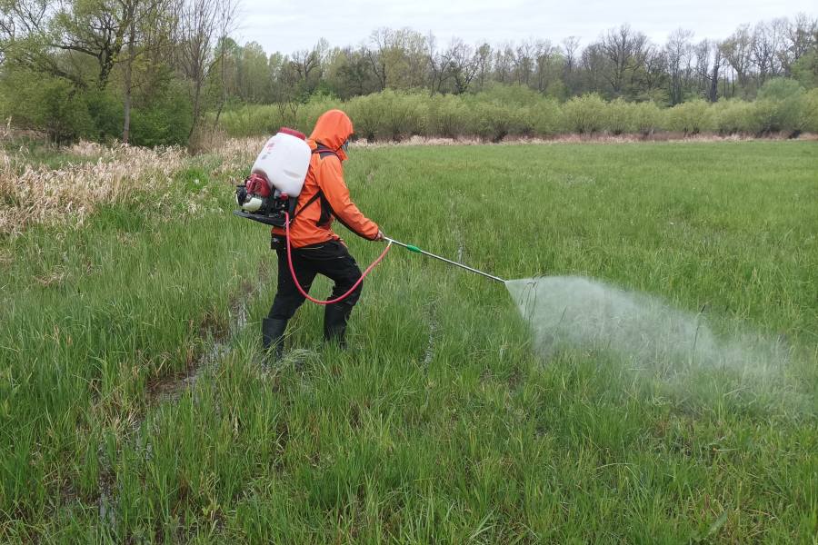 Aplikace biocidu na lokalitě Pastvisko u Lednice