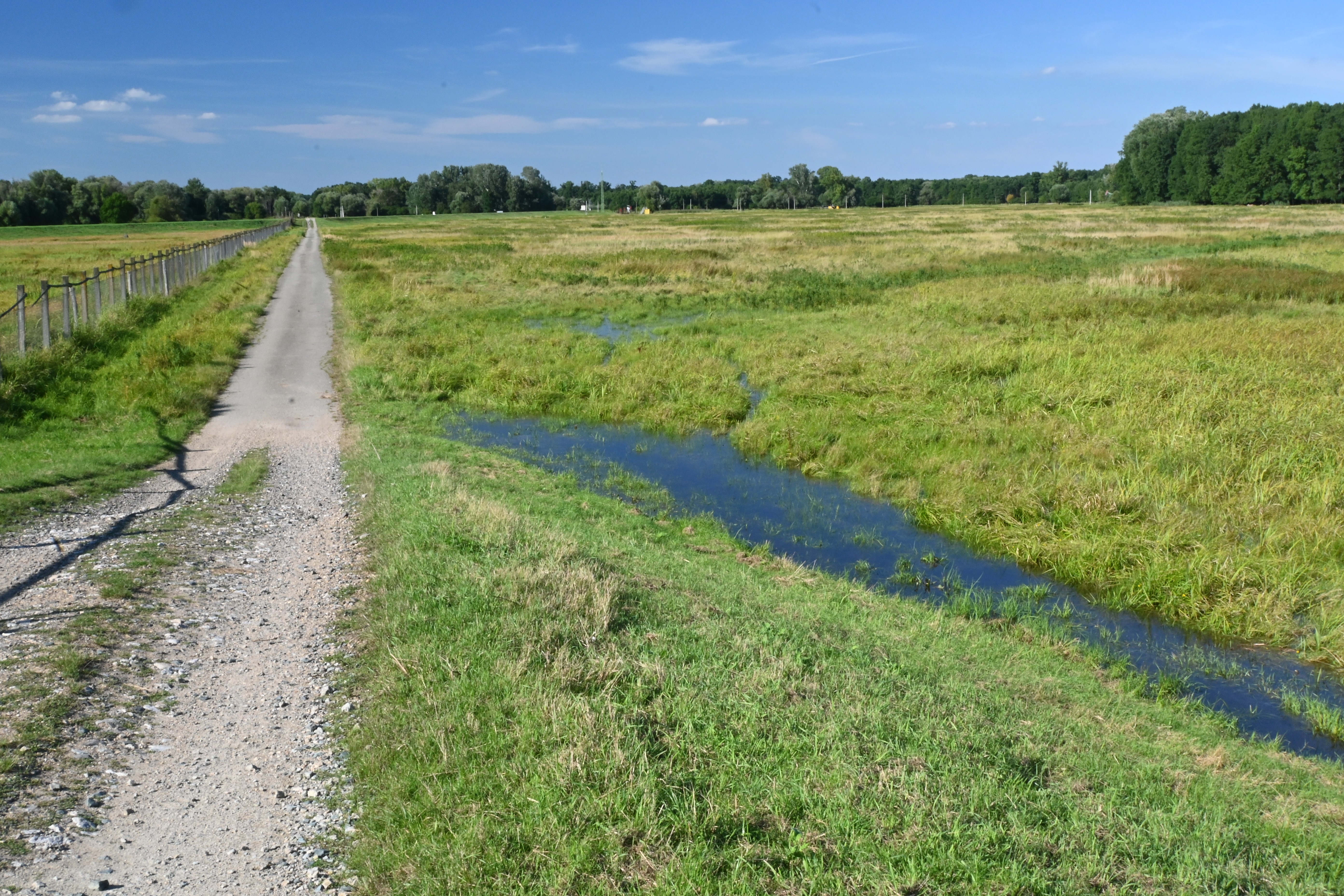 Košárské louky, biotop chřástala polního