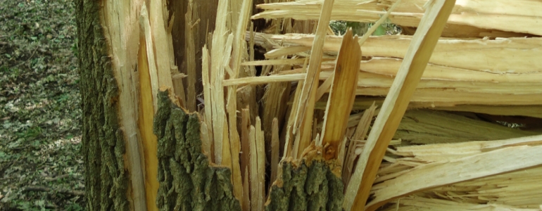 Důsledek větrné kalamity na Soutoku v červnu 2022