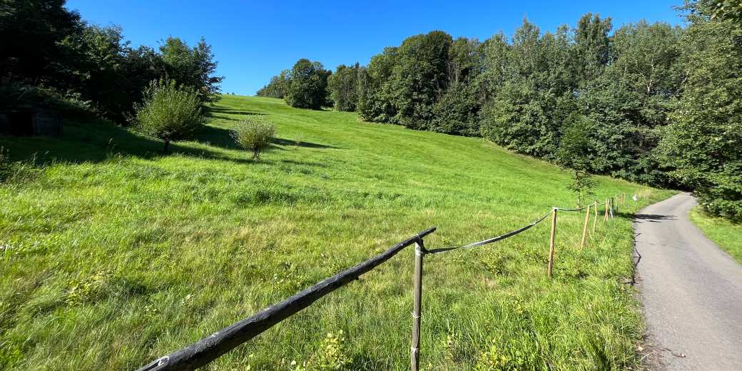 Pokosená louka na Jablonecku.