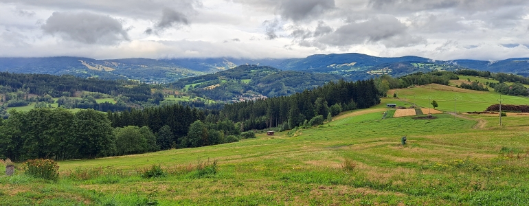 Krajina u Vysokého nad Jizerou.