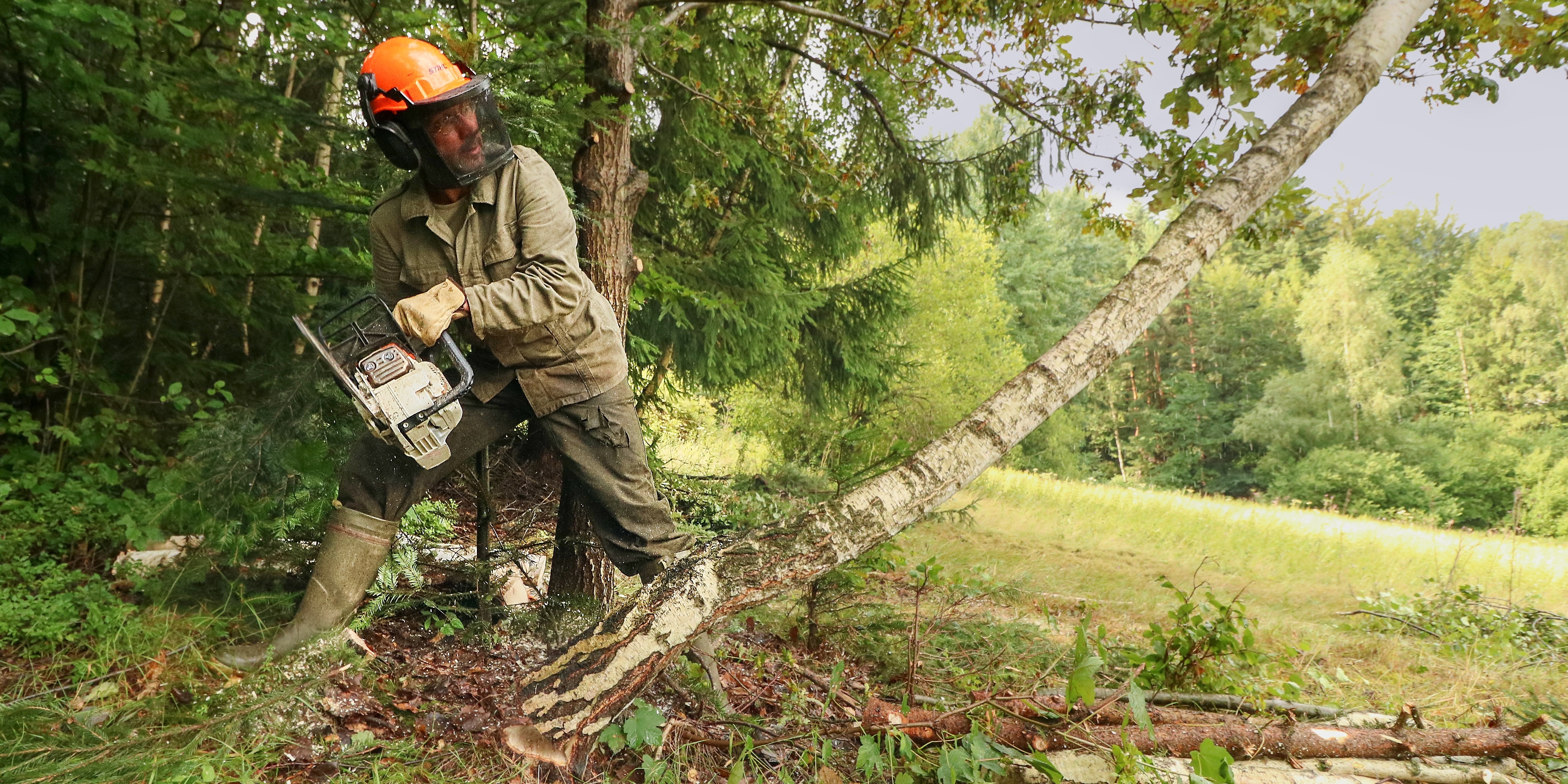 kácení, František Jaskula