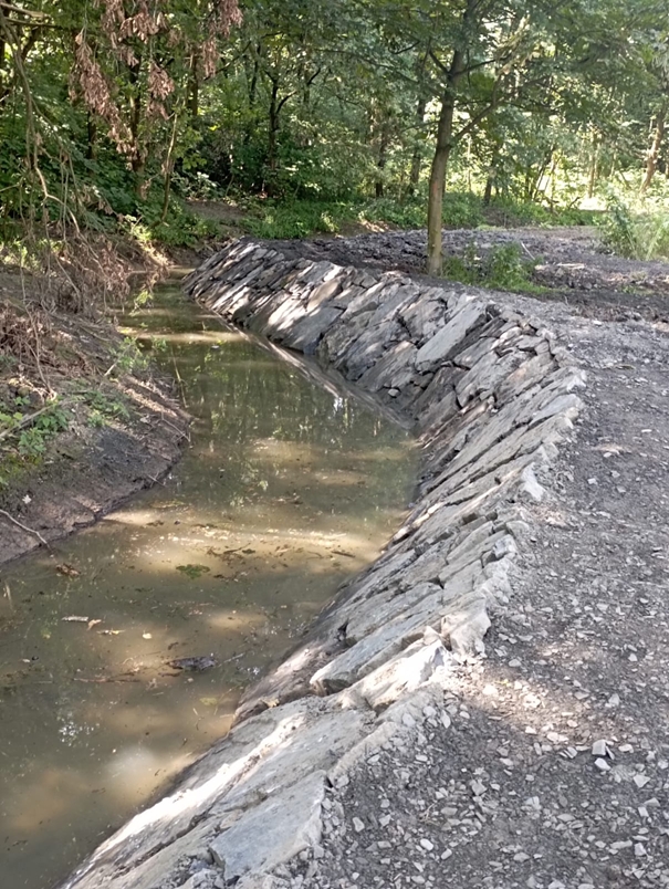 Opatření k ochraně mokřadních ekosystémů v PR Kotvice