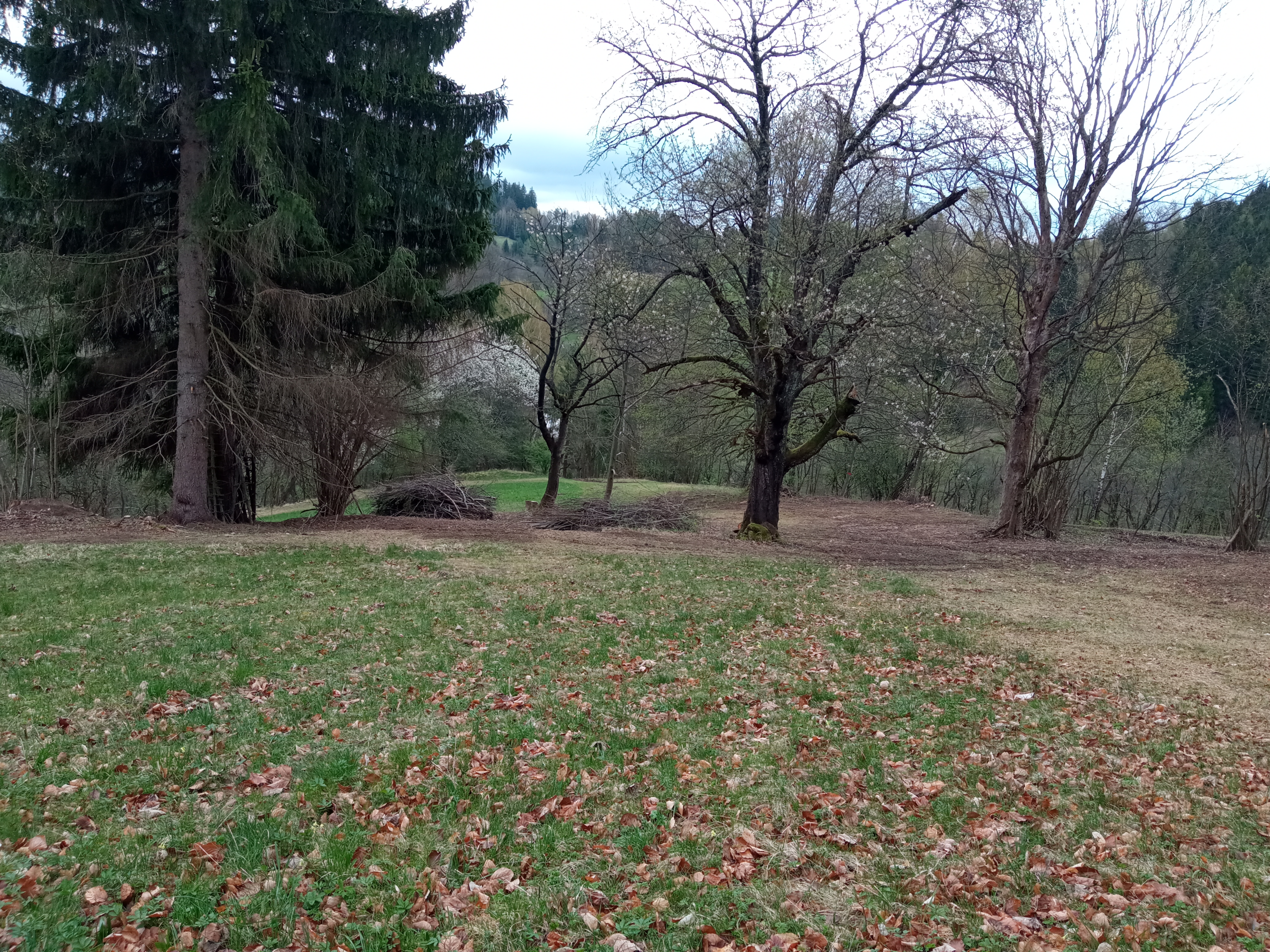 ponechávání klestu jako úkryt pro živočichy