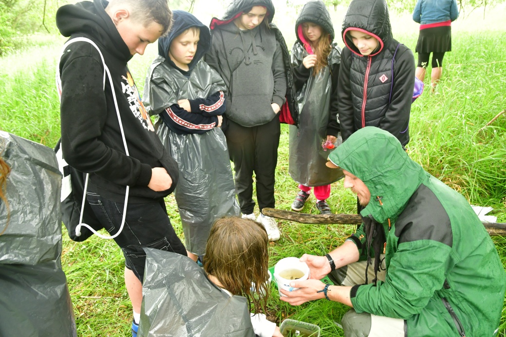 Žáci sledují odchycené vodní živočichy v kelímku.