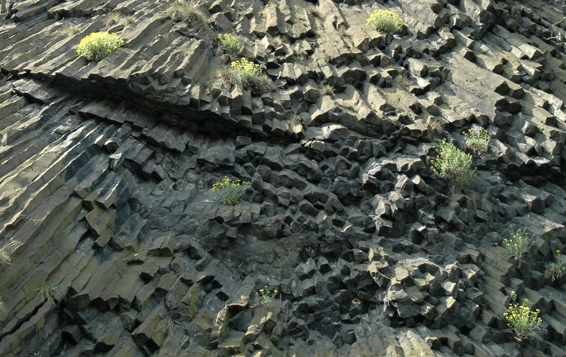 Vrkoč