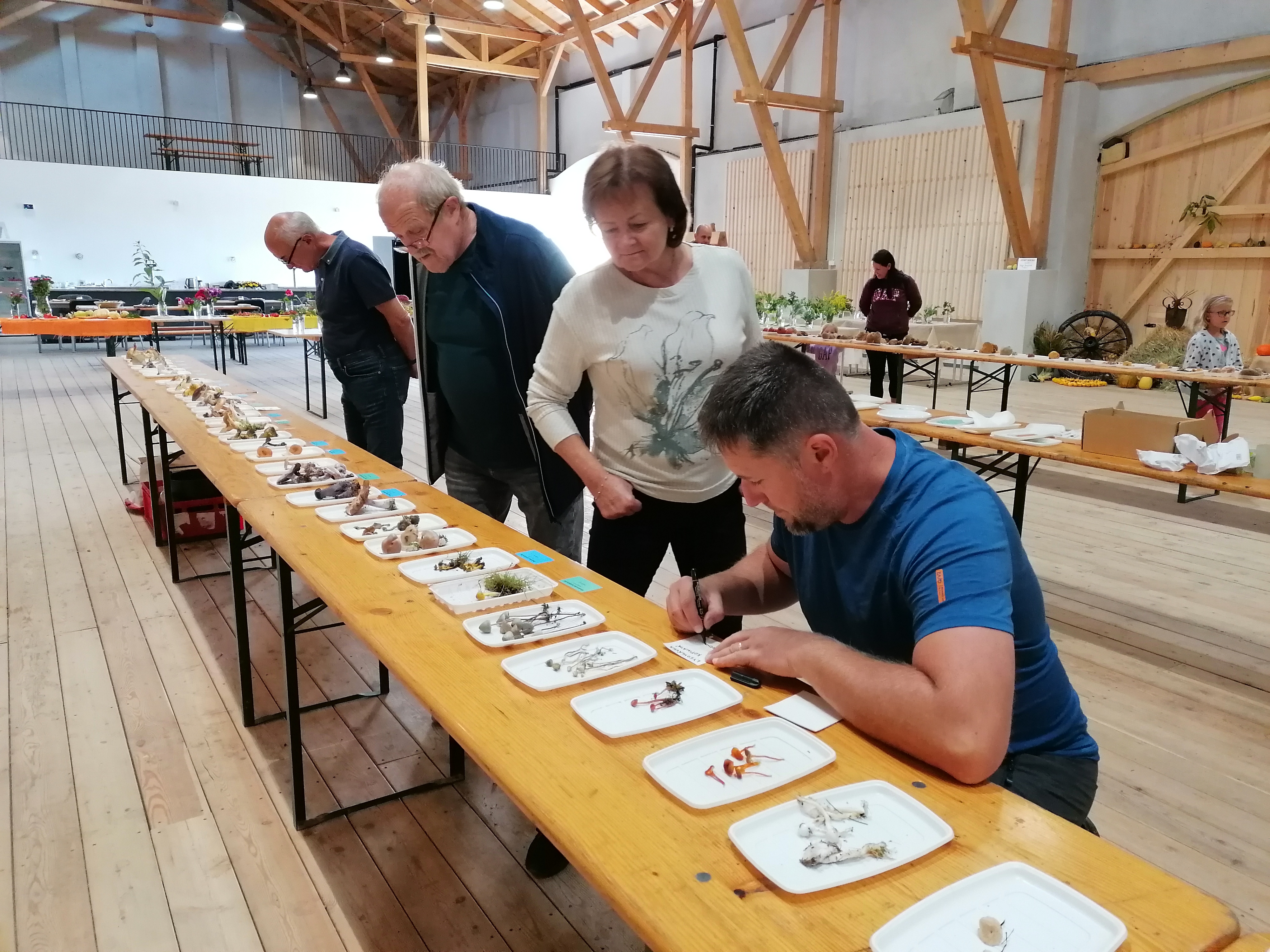 mykolog určuje donesené houby na výstavu hub v Bělé n. Radbuzou