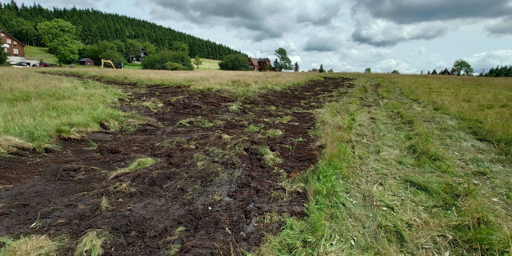 Obnova vodního režimu na Jizerce