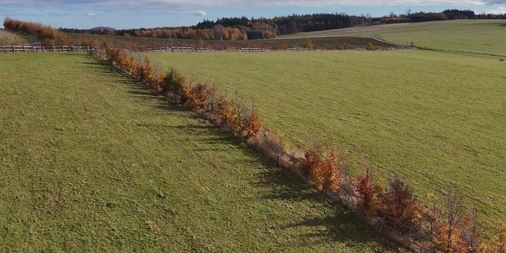 Typová opatření OP ŽP