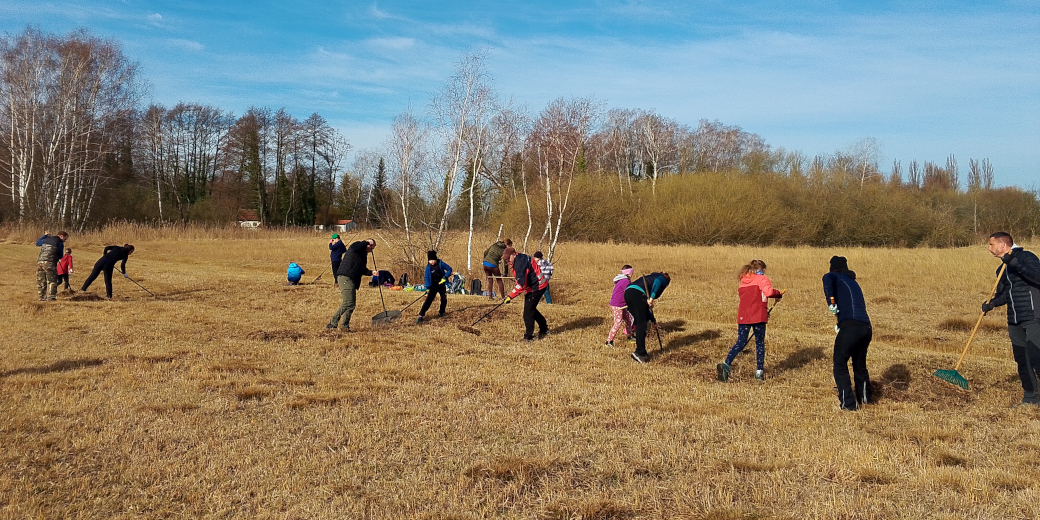 Skupina skautů vyhrabává hráběmi odumřelé zbytky travních porostů.