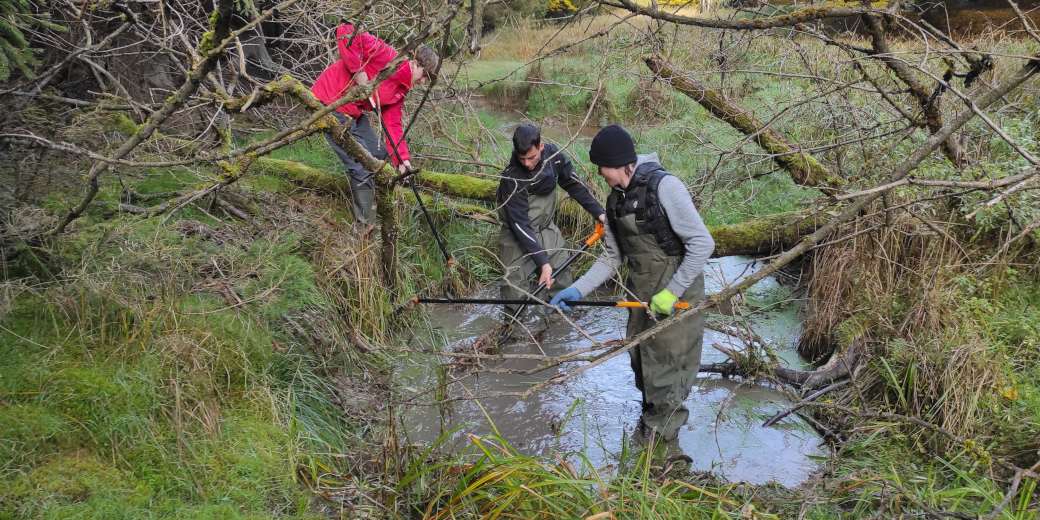 Praktikanti z Církevní ZŠ a SŠ Plzeň nám pomáhali s čištěním a údržbou tůní.