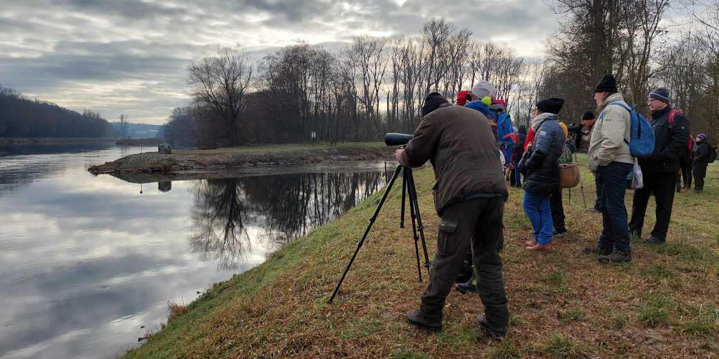 Účastníci se dívají do dalekohledů, aby mohli ptáky detailně pozorovat.