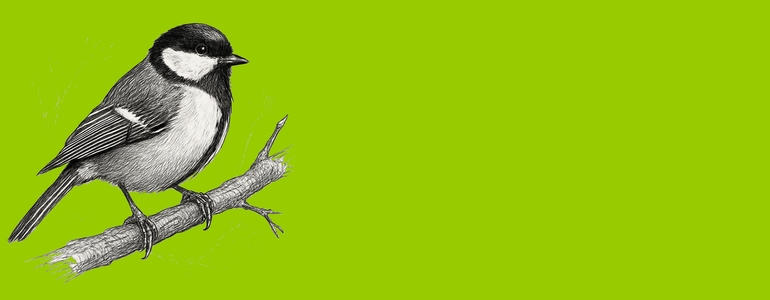 Vítání ptačího zpěvu v Křižanech