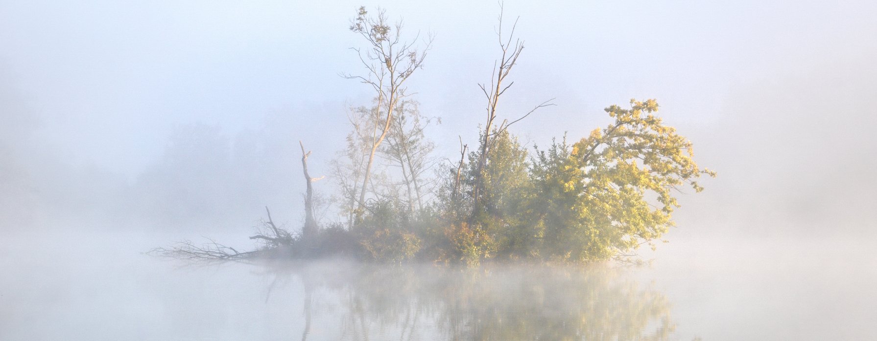 Zaostřeno na Poodří - výstava fotografů přírody