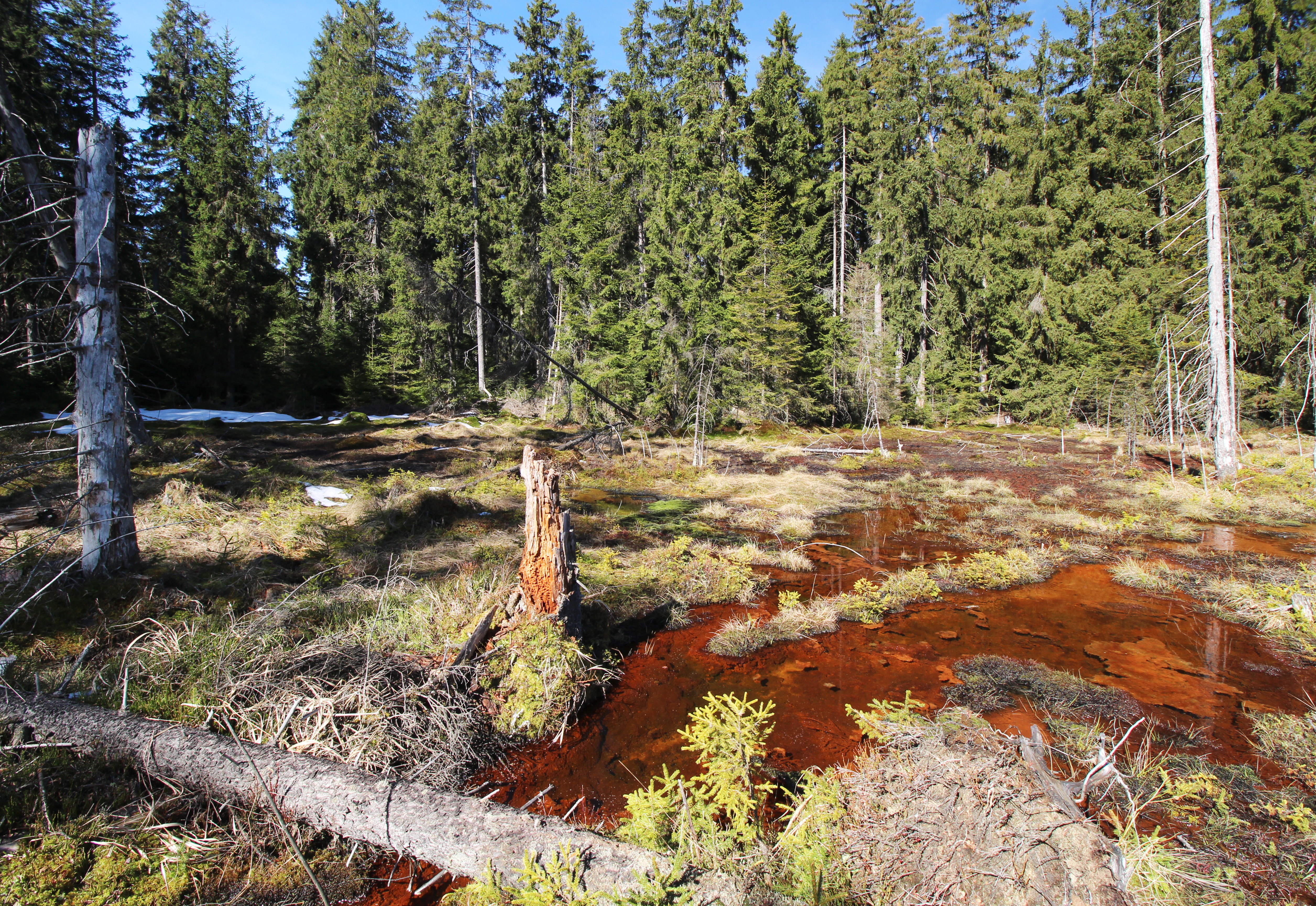 Konference: PRAMENY Slavkovského lesa – ZDRAVÉ srdce lázeňské KRAJINY