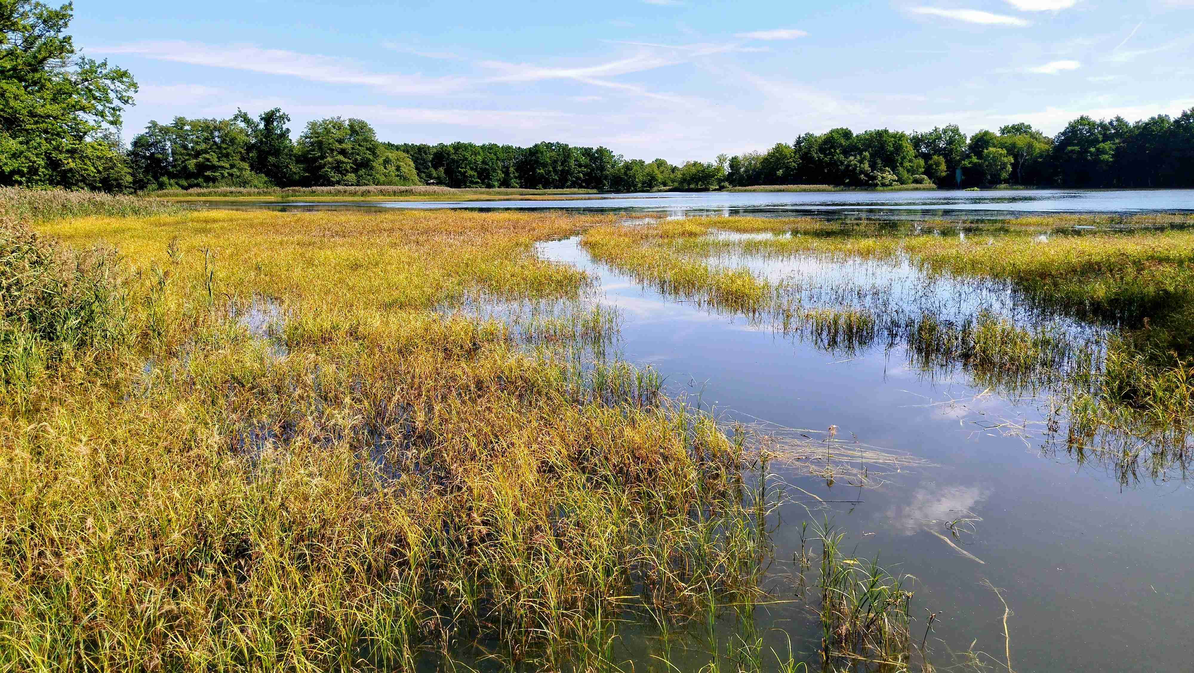 foto Ing. Zdeňka Neudertová, Velký lomnický rybník