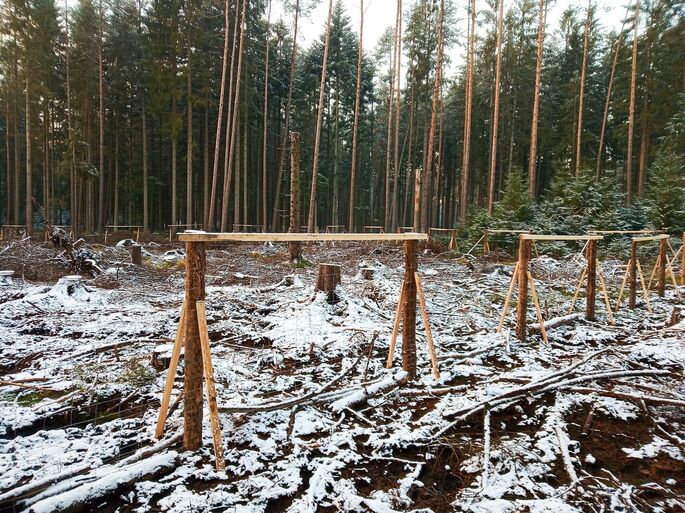 Oplocenka pro přirozené zmlazení na majetku KINSKÝ Žďár a. s. v lokalitě Babín