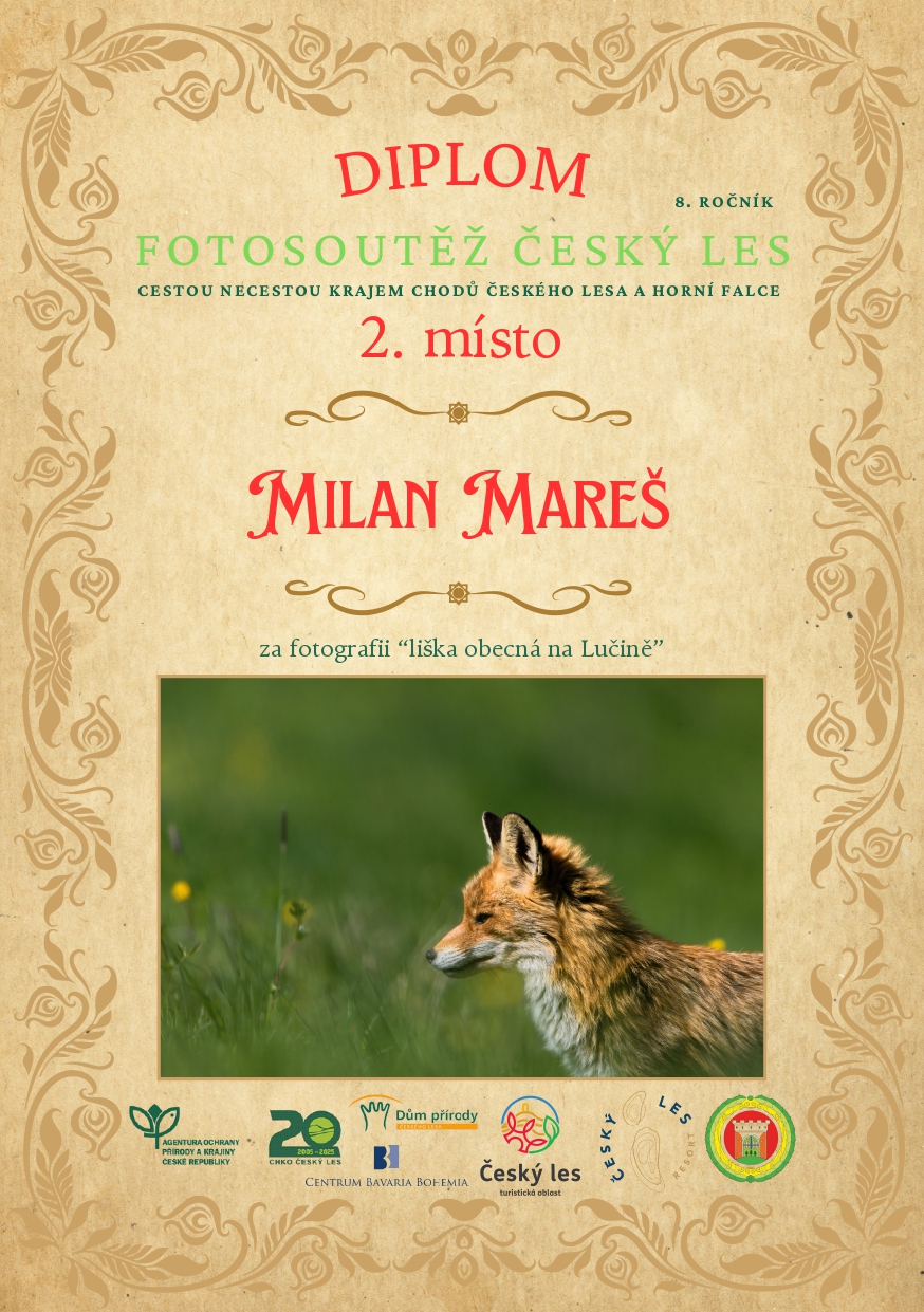 diplom druhé místo