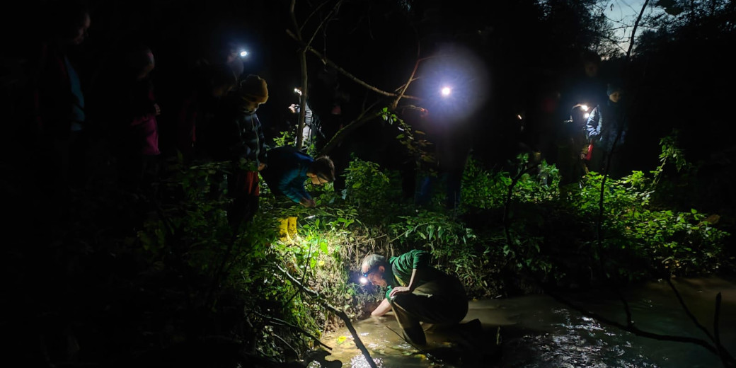 Vycházka za raky se koná za šera, nezbytnou výbavou tedy byly svítilny, které ozářily břeh říčky.